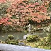 ひとみの画像