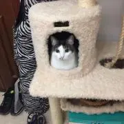 Naomiの画像