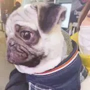 さかもとの画像