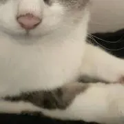 みーの古着屋の画像