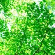 K(ご購入前にプロフ必読)の画像