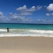 Seaの画像