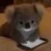 totoの画像