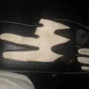 しょの画像