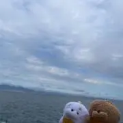どりの画像