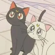 ゆむ【プロフ必読】の画像