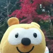 タヌキ　 お知らせはプロフィールにの画像