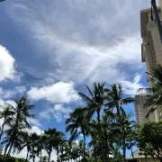 aloha ᕱの画像