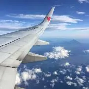 あっちゃんの画像