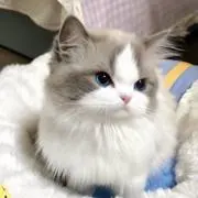 rikaの画像