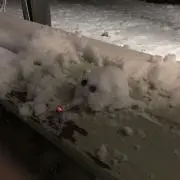 みや