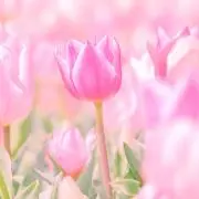 まぁみんの画像