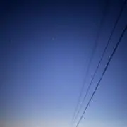 若いヴィンテージマニア
