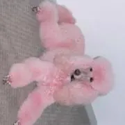 tatsumakitamamaの画像