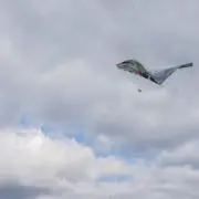 問い合わせはお気軽に♫の画像