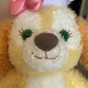 みこの画像