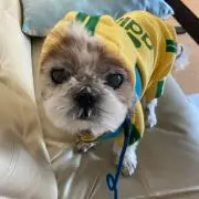 クレマチス٩(๑❛ᴗ❛๑)۶