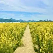 値下げ交渉→大歓迎❣| ぽぽのお店の画像