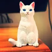 yちょび