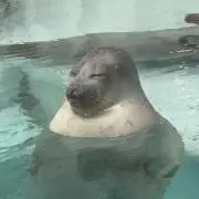 NASAの画像