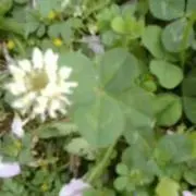 はっぴぃ
