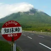 たかの画像