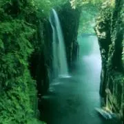 YYの画像