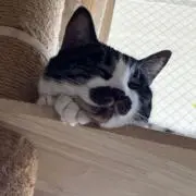 さとちゃん