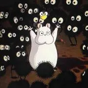 Yurの画像