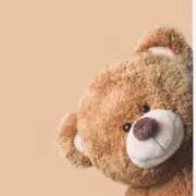 くまʕ•ᴥ•ʔの画像