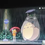 のん【即購入可・即日発送】