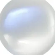 ୨୧の画像