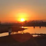 Sakuraの画像