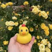 月　プロフ読んでいただけると有り難いですの画像