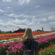 翠の画像