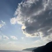 しじみの画像