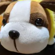 NJ まみーさん