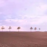 ころの画像