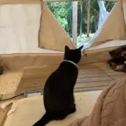 mbkの画像