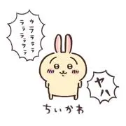 アイビスの画像