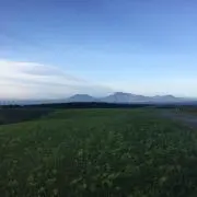 Ikuko