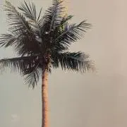 me....の画像