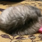★★★