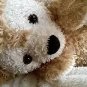 FTの画像