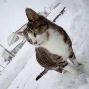Minakoの画像