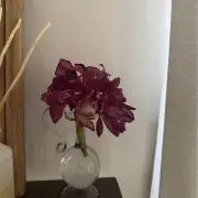 mの画像