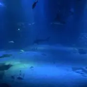 たかしの画像