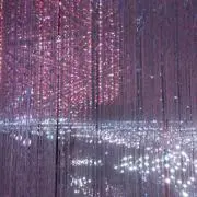 YYの画像