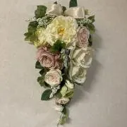 ショコラの画像