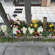 交渉は質問欄へ  断捨離　summerの画像